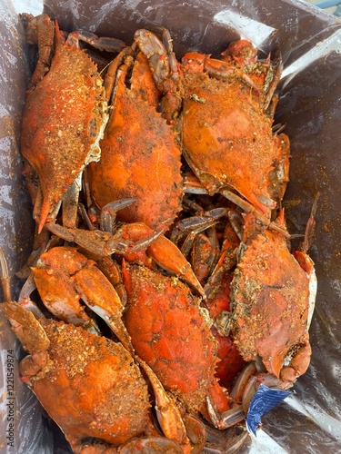 Maryland blue crabs photo