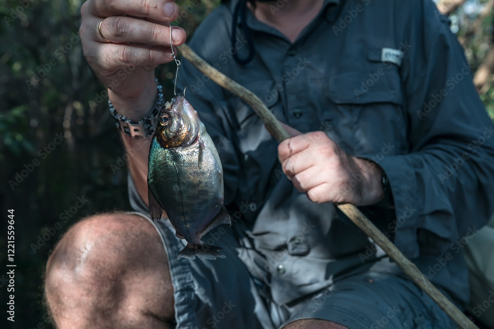 catching fish by hook in rivers Photography Poster Tourist Holds Freshly Caught Piranha on Fishing During Amazon River Fishing | Wall Art Used Garmin 126 SV Gear Ratio:6.8:1 Fathers_BOGO