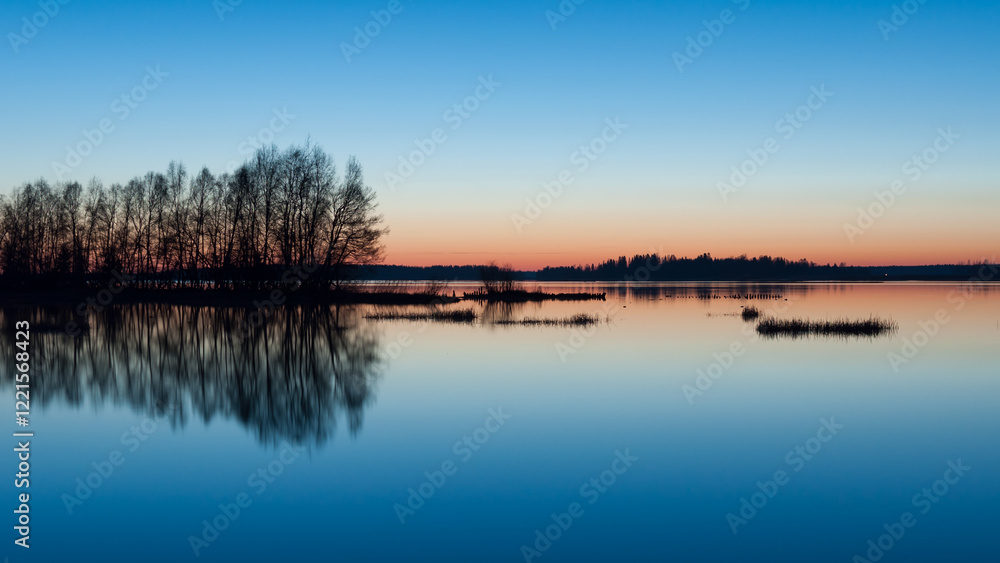 Fototapeta premium A line of trees on wetlands in a river delta in the blue evening light of early summer in Western Finland