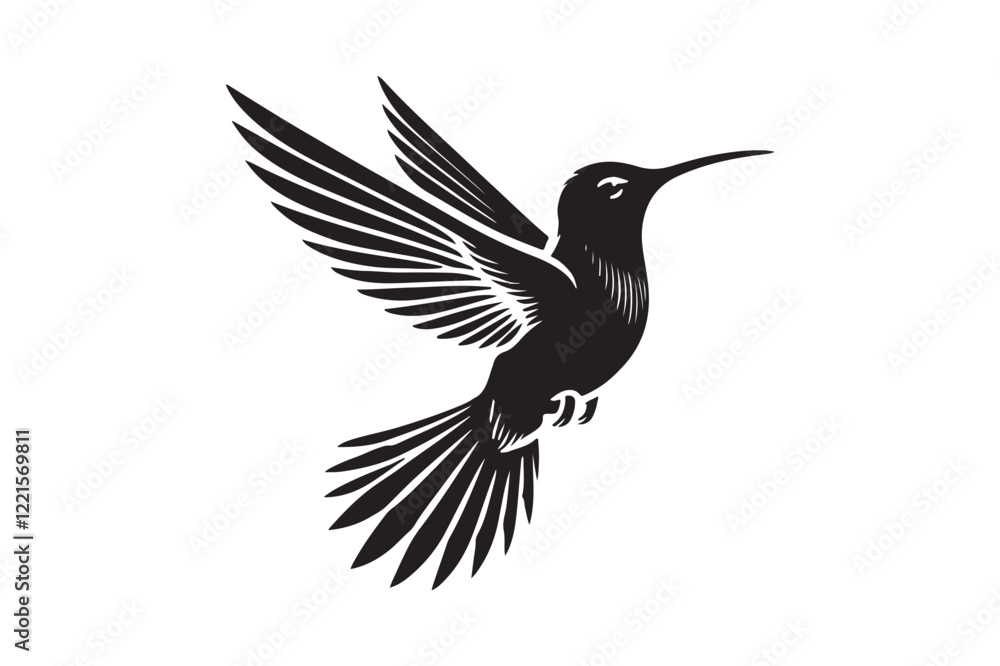 Obraz premium Humming bird silhouette