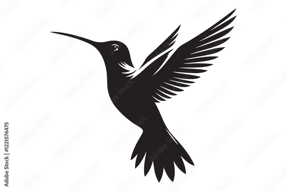 Obraz premium Humming bird silhouette