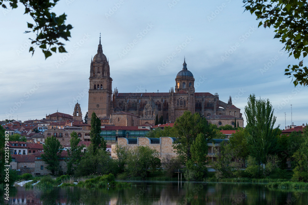 Fototapeta premium SALAMANCA DETALLES DE LA CIUDAD 2025 , SALAMANCA PHOTOS WITH DETAILS OF THE CITY SPAIN 