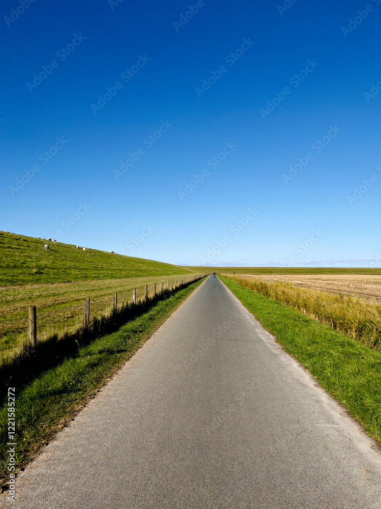 Asphalted agricultural track and cycle path along the dike on the German North Sea coast in East Frisia, grazing flock of sheep, blue sky. Germany, East Frisia, Norddeich Asphalted agricultural track and cycle path along the dike on the German North Sea coast in East Frisia, grazing flock of sheep, blue sky. Germany, East Frisia, Norddeich