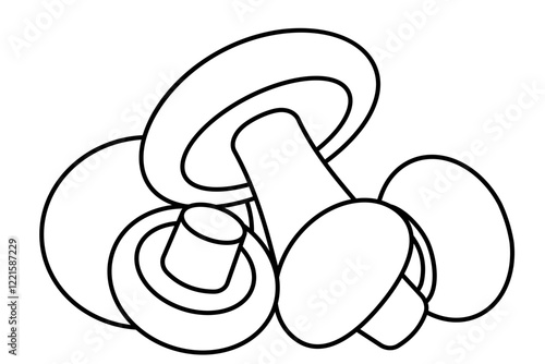 Champignon mushrooms group contour illustration