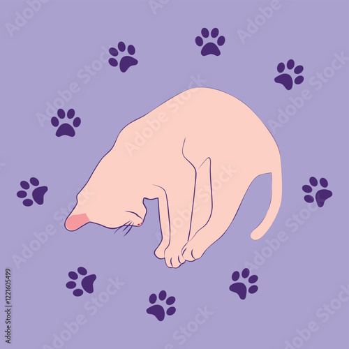 Mystical cat in boho style surrounded by stars, zodiac signs, balls, paw prints, silhouette collection. Esotericism and mysticism, occultism. Cartoon flat vector illustration.