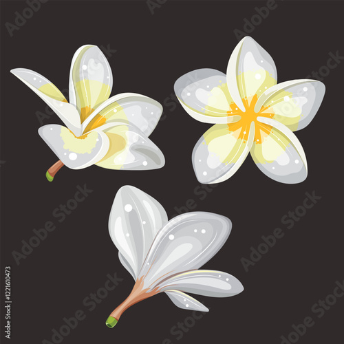 Flower frangipani, plumeria. Bali flowers, tropical plants. Spa flower icon set. Vector illustration