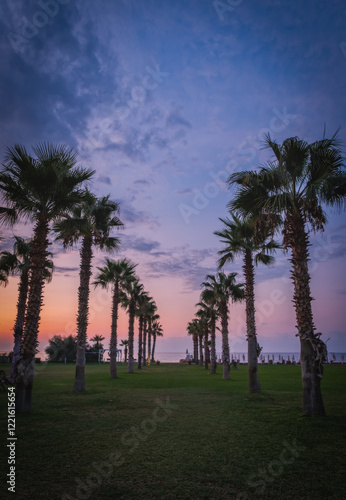 Wonderful sunset time view of palms alley. Impressive evening cityscape of hotels garden near Campofelice di Roccella city. Amazing outdoor scene of Sicily, Italy, Europe. Traveling concept background photo