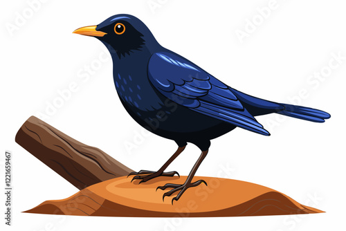 Blue Rock Thrush is standing on the log, isolated on a white background