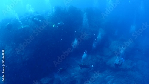 Wallpaper Mural scuba divers exploring reefs and big rocks underwater  Torontodigital.ca