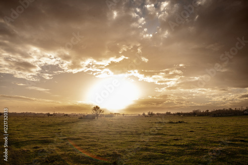 Panorama of a Scenic Pasture in Zasavica, Vojvodina, Serbia, used for crops and growing cattle. Vojvodina is the most rural and agricultural region of Serbia. photo