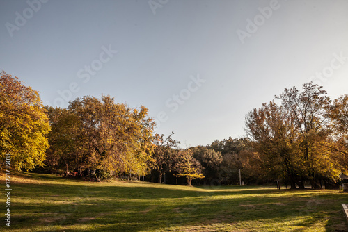 Billede på lærred A wide clearing featuring a lush grassfield framed by autumn foliage in Devojacki Bunar, Serbia