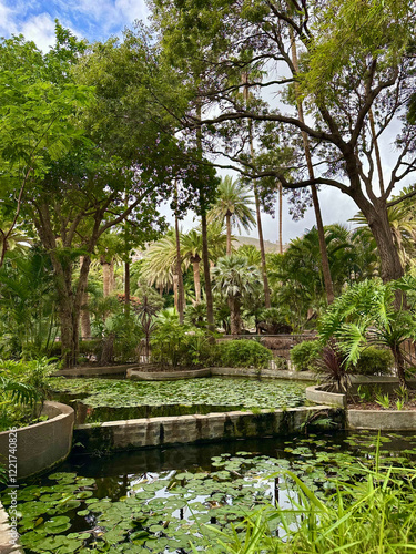 Garden in Tenerife. Canary Islands 