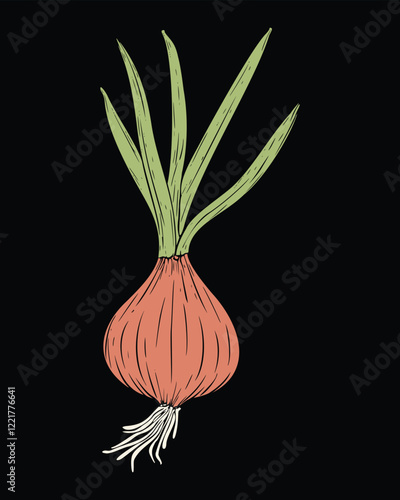 Freshly harvested red onion with vibrant green shoots, a simple illustration against a black background.