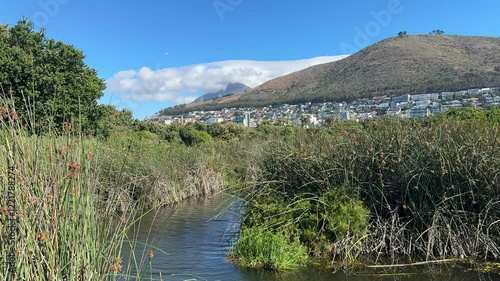 Signal Hill viewed from the Urban Park in Mouille Point near Cape Town