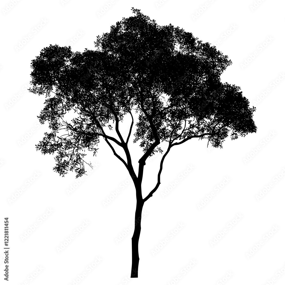 Fototapeta premium Tree outline silhouette white illustration vector