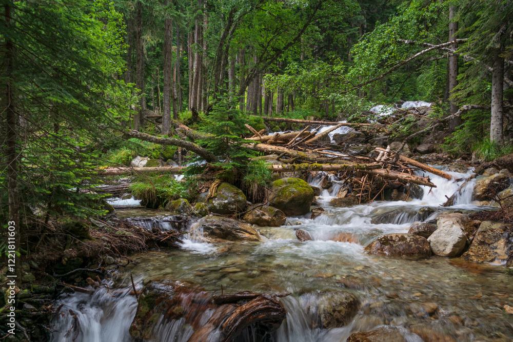 Obraz premium View of the waterfall on the Belaya River in the mountains of the North Caucasus near the village of Arkhyz on a sunny summer day, Karachay-Cherkessia, Russia