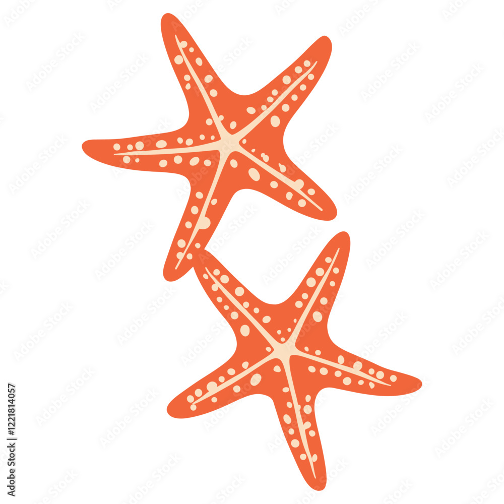 Starfish illustration invertebrate creatures vector
