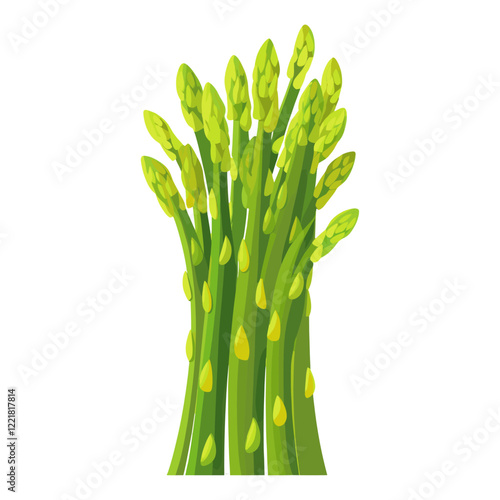 One asparagus vector illustration vegetable produce vector