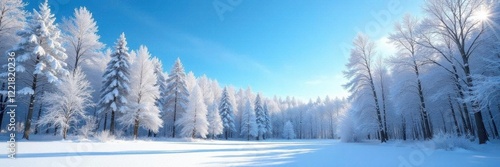 Wallpaper Mural Snowy forest with bare trees against a bright blue sky, snow-covered trees, blue sky Torontodigital.ca