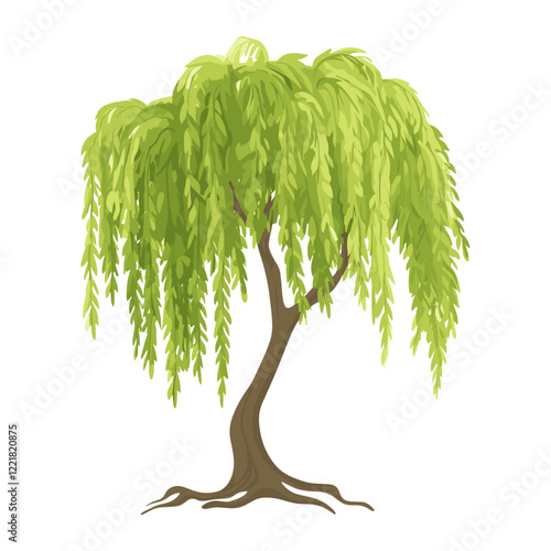 Willow tree illustration art vegetation vector