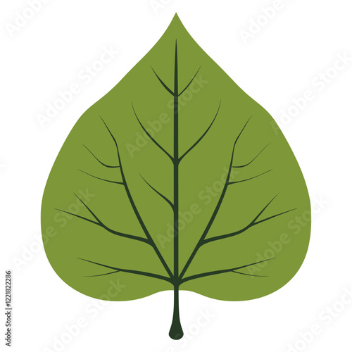 Hickory leaf illustration simple annonaceae vector