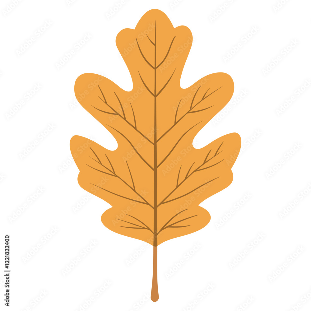 Obraz premium Autumn reniform leaf illustration fall oak vector