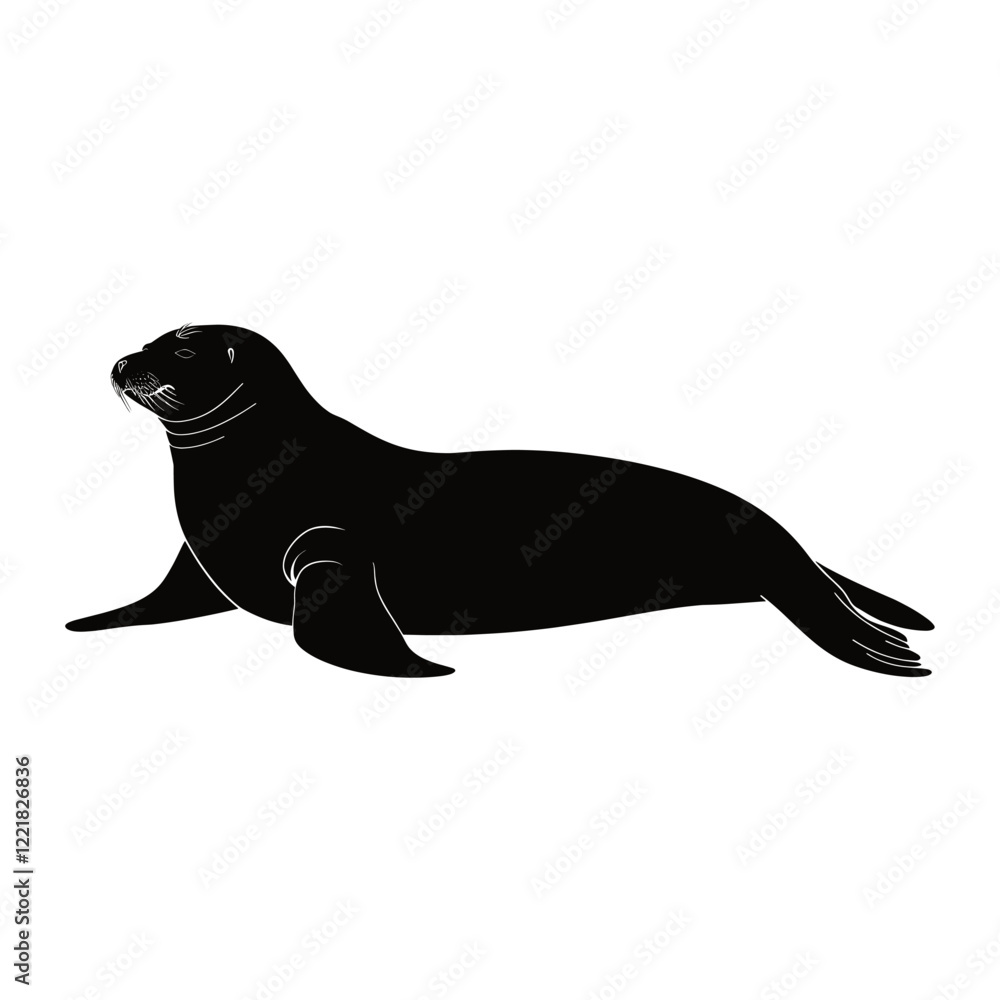 Seals illustration silhouette animal vector Seals illustration silhouette animal vector