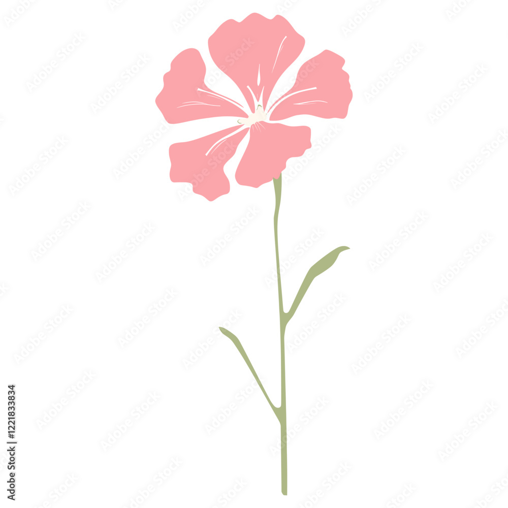 Clarkia flower illustration simple plant vector Clarkia flower illustration simple plant vector