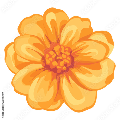 Marigold illustration flower petals vector
