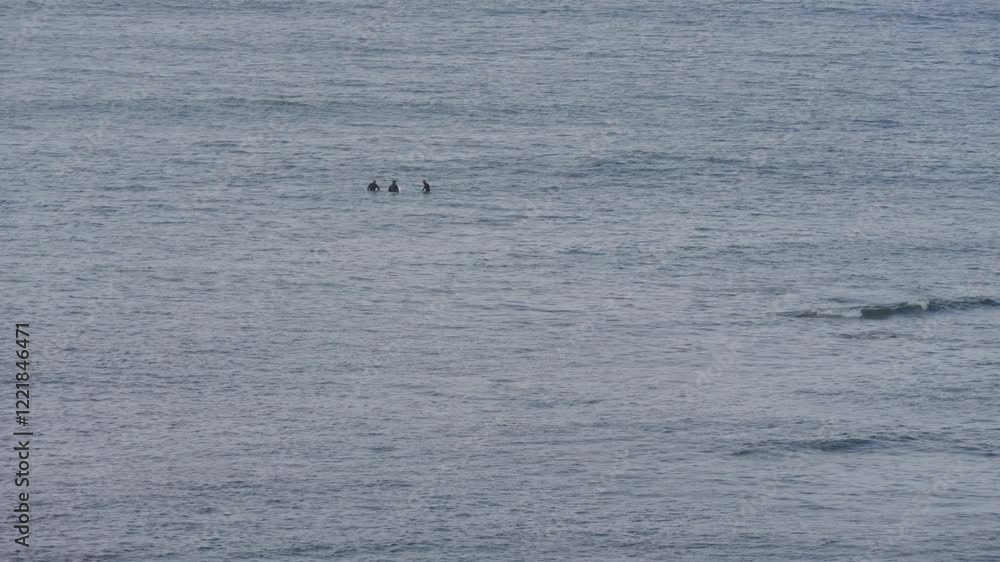 A group of surfers floats patiently on their boards in the calm ocean, waiting for the perfect wave to arrive under the golden glow of the sun. A group of surfers floats patiently on their boards in the calm ocean, waiting for the perfect wave to arrive under the golden glow of the sun.