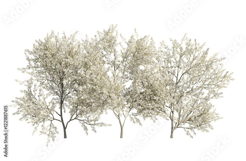blackthorn bushes isolated on transparant background. 3d rendering