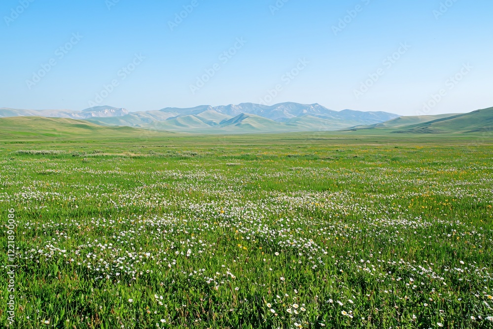 Expansive green meadow filled with wildflowers under a clear blue sky, surrounded by distant mountains Expansive green meadow filled with wildflowers under a clear blue sky, surrounded by distant mountains