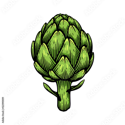 Hand Drawn Artichoke, Vintage Engraving Style Vector Illustration