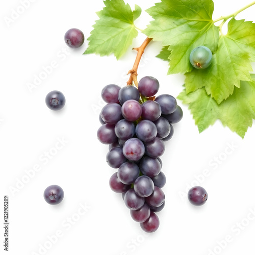 Grapes on a white backgroundGrapes on a white background photo