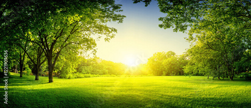 Fresh spring landscape with vibrant green lawn and soft sunlight filtering through young foliage in a peaceful natural park. Made with generative AI