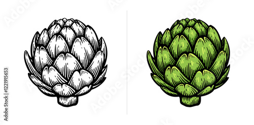 Hand drawn artichoke. Artichoke line art vector illustration