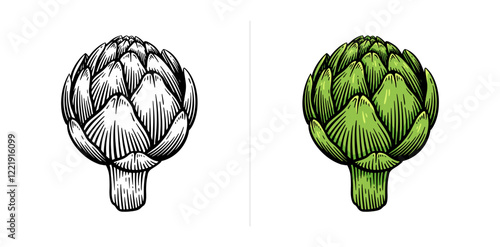 Hand drawn artichoke. Artichoke line art vector illustration