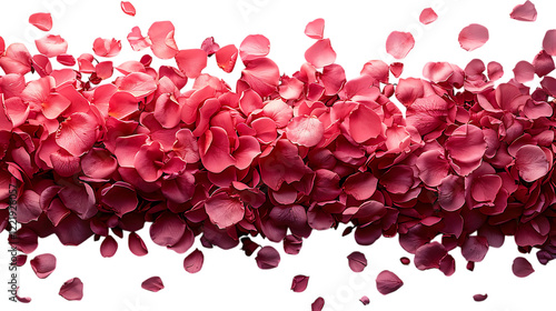 Rose petals on a transparent or white background.