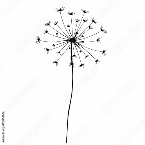 A black and white drawing of a flower. The flower is a dandelion. The flower is drawn in a very simple style