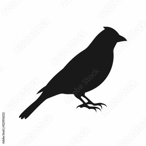A black bird with a black head and a black body. It is sitting on a white background