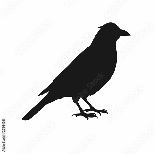 A black bird with a black head and a black body. It is sitting on a white background