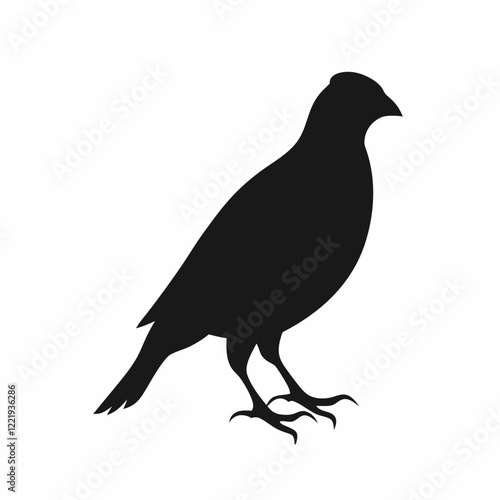 A black bird with a black head and a black body. It is sitting on a white background