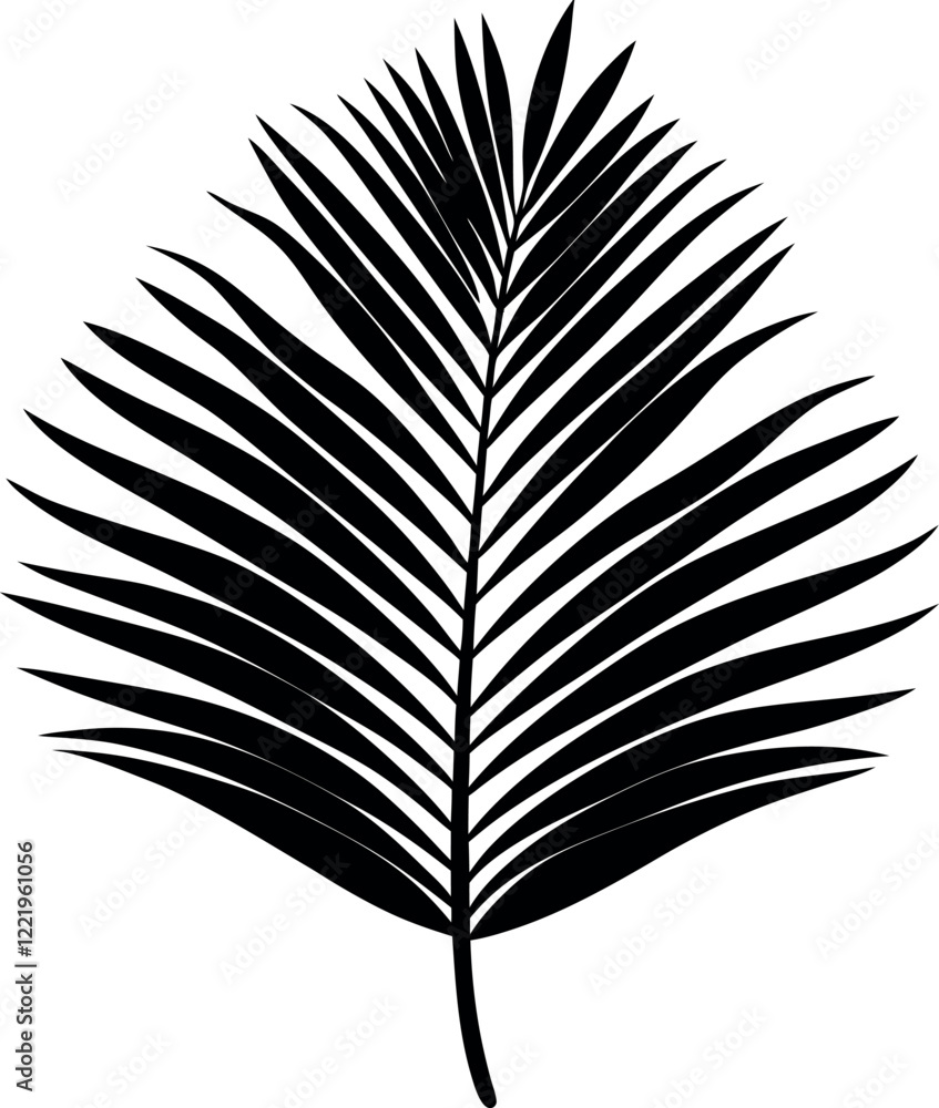 Tropical Palm Leaf Silhouette Vector Tropical Palm Leaf Silhouette Vector