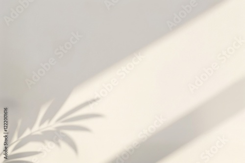 Minimalist leaf shadow on wall