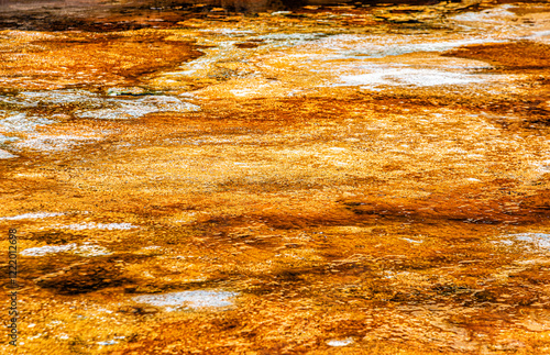 Close-up of the earth surface in the Orakei Korako Park, Taupo, North Island, New Zealand, Oceania. photo