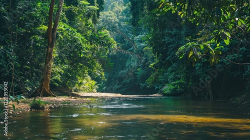 Fototapeta Naklejka Na Ścianę i Meble -  Tranquil jungle stream, sunlight dappling, lush foliage, background nature