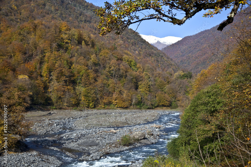 A sharp river flowing in the forest. A mountain river. A river of stones. A muddy river. A sharp river flowing in the forest. A mountain river. A river of stones. A muddy river.