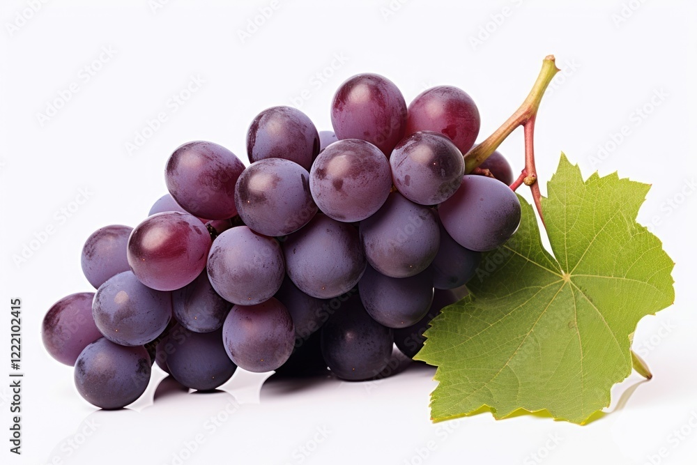 Fototapeta premium Grapes bunch purple fruit plant.