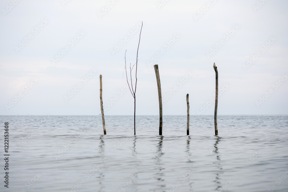 several tree poles and branches extending out of the water to form an irregular line against the sky.
several tree poles and branches extending out of the water to form an irregular line against the sky.