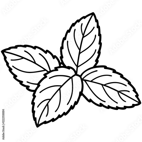 Mint Leaves Design Outline